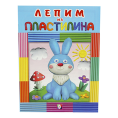 Книга Лепим из пластилина в ассортименте Flamingo