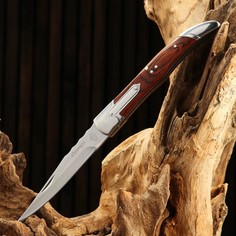 Нож складной "Француз" сталь - 40х13, рукоять - дерево, 23 см Витязь