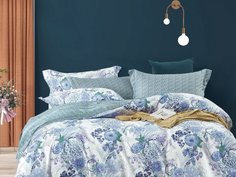 КПБ семейный печатный сатин 1726-7 Asabella