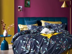 КПБ семейный, печатный сатин 1590-7 Asabella