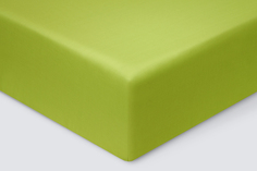 Простынь Ecotex "Моноспейс" 1,5 сп салатовый