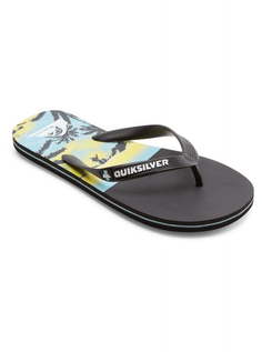 Сланцы Molokai Panel Quiksilver