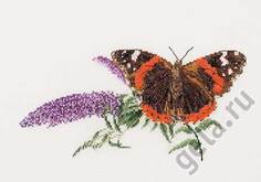 Набор для вышивания THEA GOUVERNEUR "Бабочка Buddleja", канва аида 18 ct, арт.436A