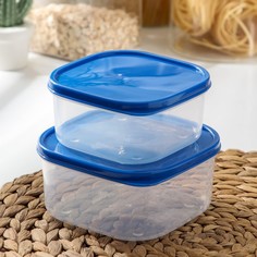 Набор контейнеров пищевых Доляна, квадратных, 2 шт: 450 мл; 700 мл, цвет голубой