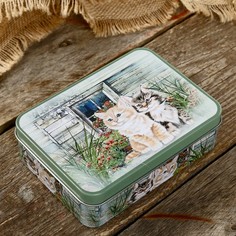 Шкатулка металл прямоугольная "Собаки и кошки" МИКС 4,2х14х10 см No Brand