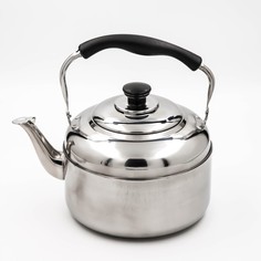 Чайник, 4 л, нержавеющая сталь Astell