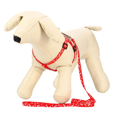 Комплект Пижон Классика, ширина 1 см, шлейка 21-35 см, поводок 120 см, капрон, красный