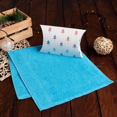 Экономь и Я Полотенце подарочное в коробке Экономь и Я, Вид 1, 3060 см, цв.голубой, 100% х