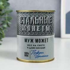 Копилка-банка металл "Стальные монеты" No Brand