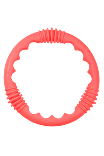 Игрушка Diving Ring Mad Wave