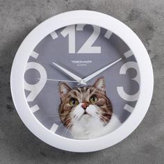 Часы настенные, : Животный мир, Кот, белый обод, 29х29 см Troika