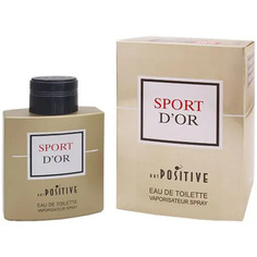 Туалетная вода мужская SPORT DOR, 90 мл Positive Parfum