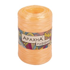 Вязание Пряжа ARACHNA Raffia 100% полипропилен 5 шт. х 50 г 200 м цв. №14 персиковый Raffi