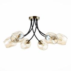 Evoluce Потолочная люстра Evoluce Besano SLE205302-06