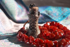 Кастореум бобра Shebek Lebek Nobrand