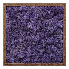 Панно 25x25 см Wbt.364 Wow Botanica