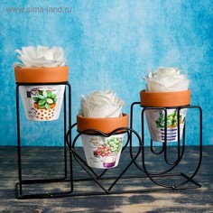 Набор кашпо керамических 3 шт, на подставке IloveU кашпо 9*9см Take It Easy