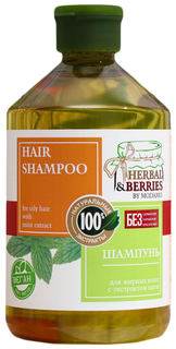 Шампунь для жирных волос с экстрактом мяты "HERBAL&BERRIES" by MODAMO 500мл