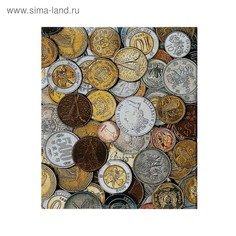 Альбом для монет на кольцах, формат Оптима 225 х 265 мм Calligrata, входит до 20 л, обл ла No Brand