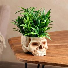 Фигурное кашпо Череп, бежевое, керамика, 0.35 л