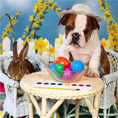 Алмазная мозаика стразами Ripoma Кролик с собакой 00113984 30х30 см