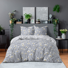 КПБ 1.5 BRAVO Collection нав.70*70 м.101 рис.4376-1+4376а-1 Шамони