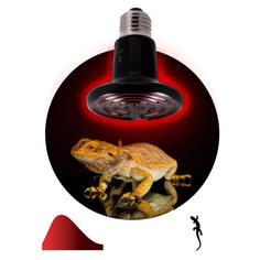 Инфракрасная лампочка ЭРА Fito-100W-НQ Б0052715 ERA
