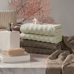 ESTIA ТОРЛЕЙ экрю/беж К-т полотенец 50х80-2/50х80-2, 100% хлопок, 500 г/м2