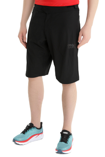 Шорты мужские Oakley Foa401898_02E черные 46