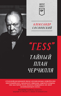 Книга "ГESS" Тайный план Черчилля ПИТЕР