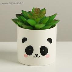 Керамическое кашпо Панда, 8 х 7,5 см Дарите Счастье