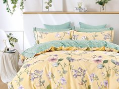 КПБ евро, печатный сатин 1608-6 Asabella