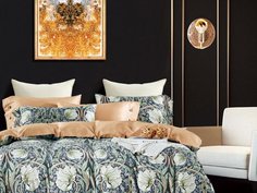 КПБ Евро, египетский хлопок 1701-6/16030 Asabella