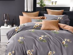 КПБ Евро, египетский хлопок 1704-6 Asabella