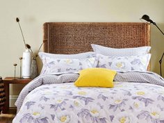 КПБ Евро, печатный сатин 1555-6 Asabella