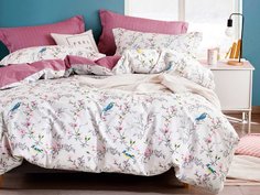 КПБ Евро, печатный сатин 1496-6 Asabella