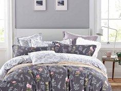 КПБ Евро, печатный сатин 1547-6 Asabella