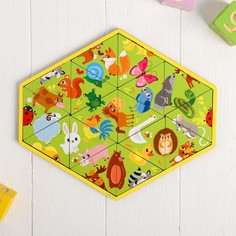 Головоломка «Запоминаем животных», пасьянс Лесная мастерская