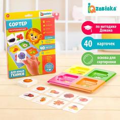 Сортер «Растительный мир» с карточками Домана Iq Zabiaka