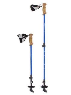 Палки для скандинавской ходьбы Larsen Extrem