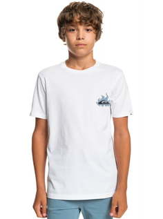 Детская футболка Hells Yeah 8-16 Quiksilver