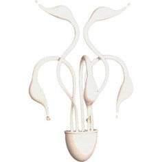 Бра Lumina Deco Magica LDW 6028-5 WT