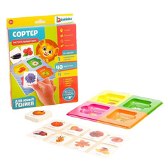 Сортер «Растительный мир» с карточками Домана Iq Zabiaka