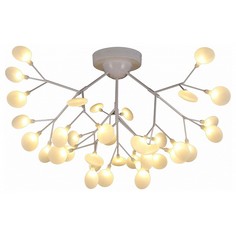 Потолочная люстра Avola SLE250102-36 Evoluce