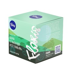 Зеленый чай Сенча с Ганпаудер и Те Гуань Инь в пакетиках, 50 г Floris