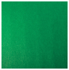 Коврик-субстрат Repti-Zoo 04EC, зеленый, 189x192 мм