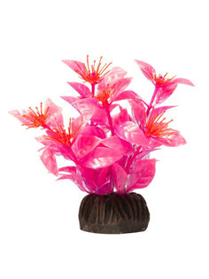 Растение для аквариума Laguna, Людвигия ярко-розовая, 100 мм