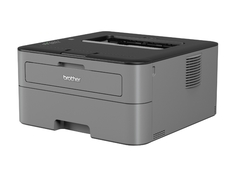 Лазерный принтер Brother HL-L2300D