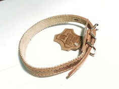 Ошейник ZooMaster кожаный, 15 мм х 25 см (19-25 см), 2-слойный