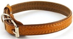 Ошейник ZooMaster кожаный, 25 мм х 55 см (50-55 см), 3-слойный